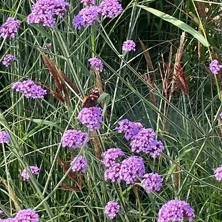 度假居 Loft By The Sea 奥德多普