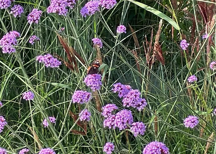 بيت للعطل Loft By The Sea آودورب